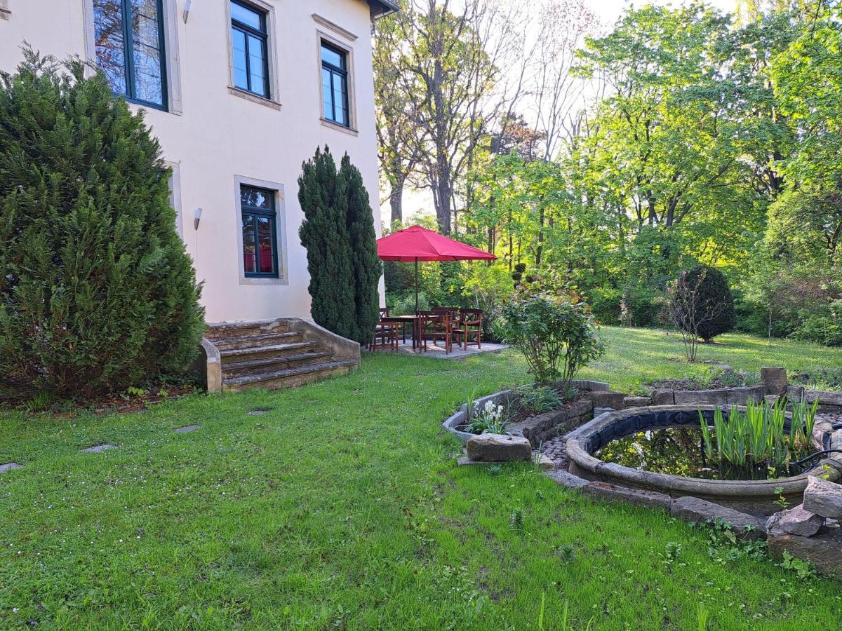 Gaestehaus Villa Seraphinum دريسدن المظهر الخارجي الصورة